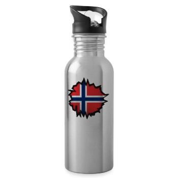 Drapeau de la Norvège dans un trou - Gourde avec paille intégrée - argent clair - Droite