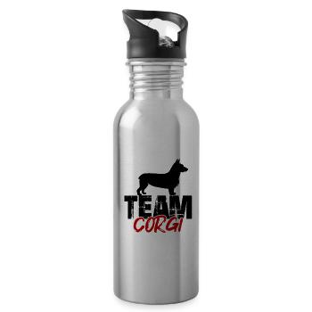 Team Corgi - Water bottle with straw - silver - Right