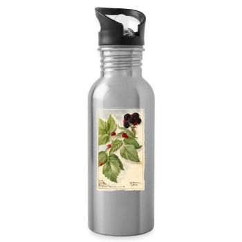 brombeeren garten rot beeren illustration vintage - Trinkflasche mit integriertem Trinkhalm - Lightsilver - Rechts