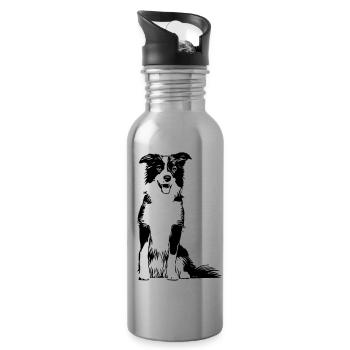 Border Collie / Dog Design Gift Idea - Water bottle with straw - silver - Right