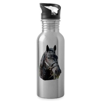 Friese Kopf - Trinkflasche mit integriertem Trinkhalm - Lightsilver - Rechts