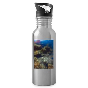 Marine life - Water bottle with straw - silver - Right