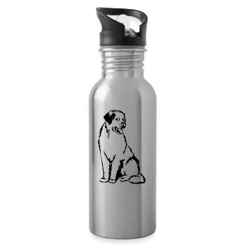 Tornjak - Water bottle with straw - silver - Right