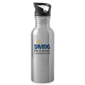 Diving - Water bottle with straw - silver - Right
