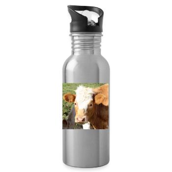 Cow Poster - Water bottle with straw - silver - Right
