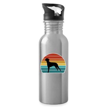 Braque Francais Dog Silhouette Vintage Sunset for - Water bottle with straw - silver - Right