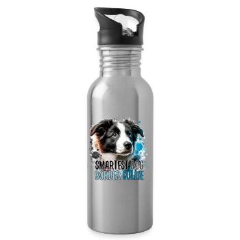 Border Collie Puppy Smartest Dog Gift - Water bottle with straw - silver - Right