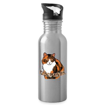 Grey and red cat – graphic with inscription - Water bottle with straw - silver - Right