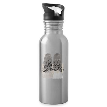 Best Friends Duo - Water bottle with straw - silver - Right