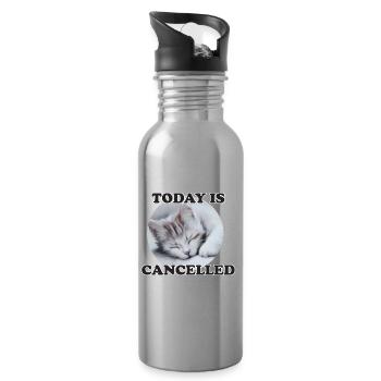 chat endormi - Gourde avec paille intégrée - argent clair - Droite