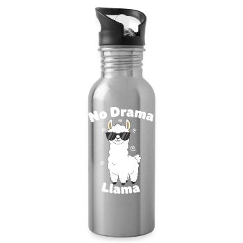 no drama llama - Water bottle with straw - silver - Right