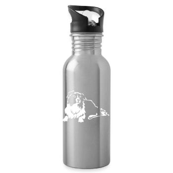 Border Collie "Black Edition" - Water bottle with straw - silver - Right