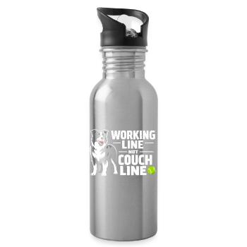 Working line instead of sofa | Border Collie - Water bottle with straw - silver - Right