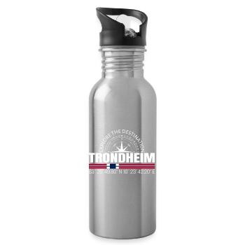 Trondheim - Water bottle with straw - silver - Right