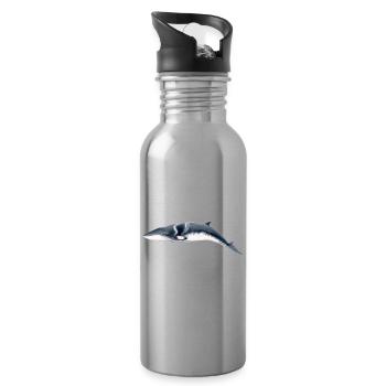 Minke whale - Petit rorqual - Minke whale - Water bottle with straw - silver - Right