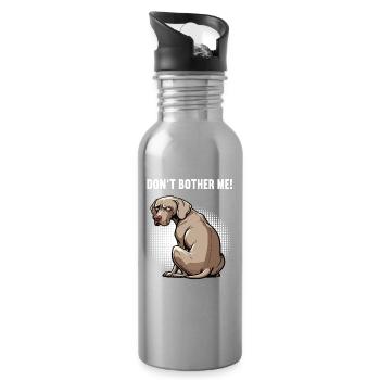 Ne me dérange pas, propriétaire de Weimaraner Weimaraner - Gourde avec paille intégrée - argent clair - Droite