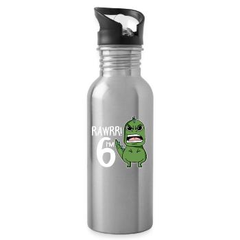 6th birthday - 6 years old - I am 6 - Water bottle with straw - silver - Right