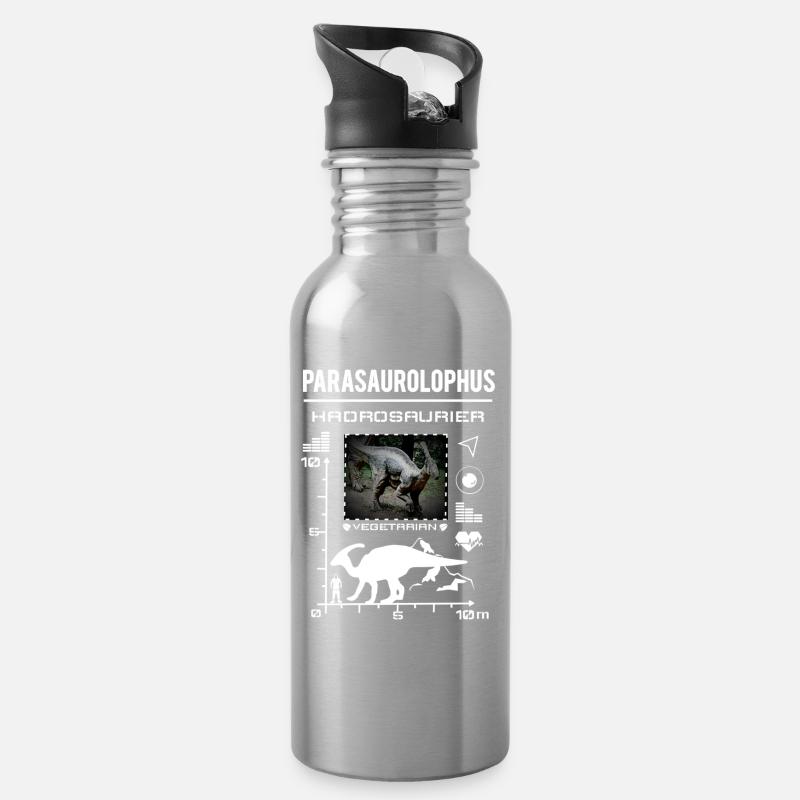Données sur le type de dinosaure Parasaurolophus - Gourde avec paille intégrée - argent clair