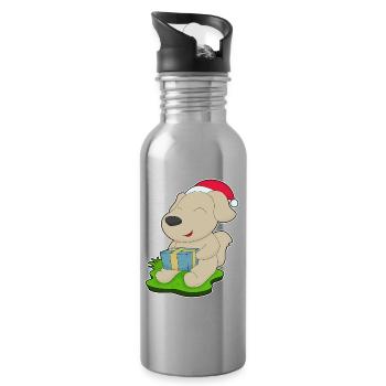 Forfait Noël pour chien - Gourde avec paille intégrée - argent clair - Droite