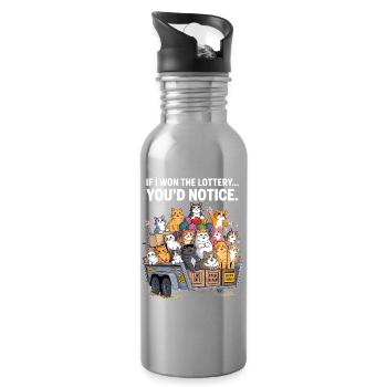 Funny If I Won The Lottery You'd Notice - Water bottle with straw - silver - Right