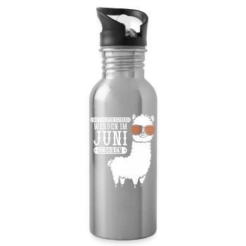 June Birthday Alpaca Saying Funny - Water bottle with straw - silver - Right
