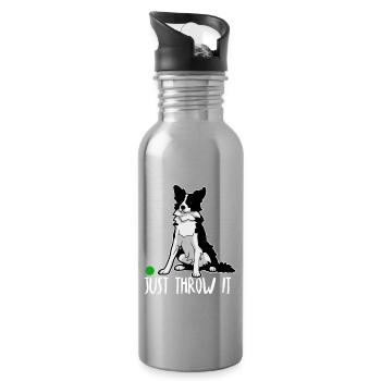 Drôle de Border Collie Juste Lancer Cadeau Amoureux de Chien I - Gourde avec paille intégrée - argent clair - Droite