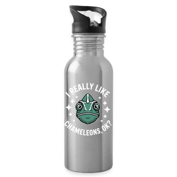 Chameleon Sayings Funny Chameleons Gift - Water bottle with straw - silver - Right