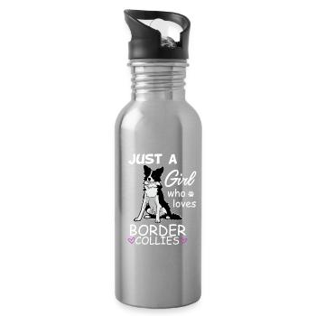 Just A Girl Who Loves Border Collies Dog Art - Water bottle with straw - silver - Right