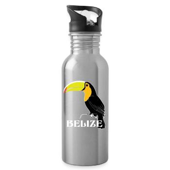 Toucan Belize - Water bottle with straw - silver - Right