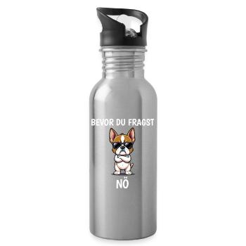 Avant de poser la question : NÖ Bulldog - Gourde avec paille intégrée - argent clair - Droite