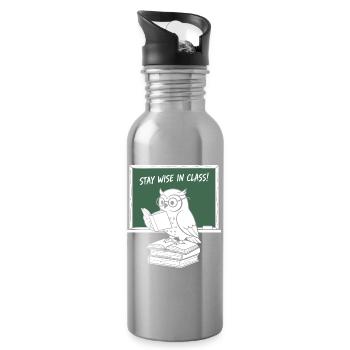 Wise owl reading in class - Water bottle with straw - silver - Right