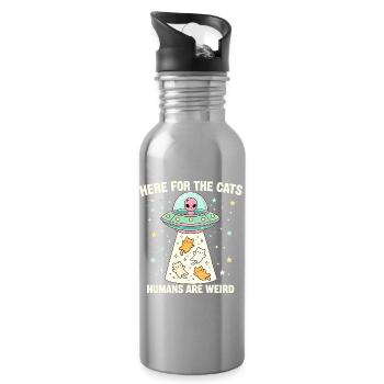 Here For The Cats – Humans Are Weird - Water bottle with straw - silver - Right