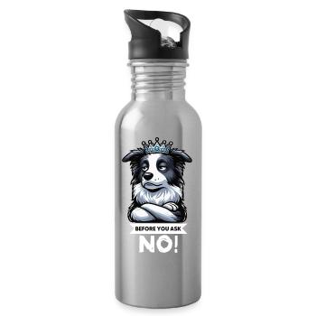 Avant que vous ne demandiez Border Collie Hütehund Collie - Gourde avec paille intégrée - argent clair - Droite