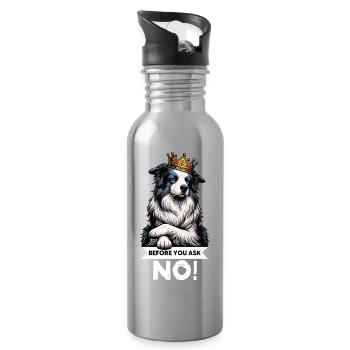 Avant que vous ne demandiez Border Collie Hütehund Collie - Gourde avec paille intégrée - argent clair - Droite