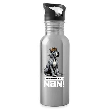 Bevor Du Fragst Deutsche Dogge Doggenbesitzer - Trinkflasche mit integriertem Trinkhalm - Lightsilver - Rechts