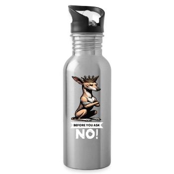 Avant de demander à Podenco Podencos Podencoliebhaber - Gourde avec paille intégrée - argent clair - Droite