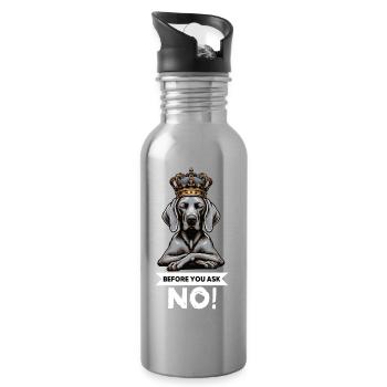 Before You Ask Weimaraner Weimaraner Lovers - Water bottle with straw - silver - Right