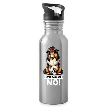 Avant de demander Collie, Collieowner Collie, Collie. - Gourde avec paille intégrée - argent clair - Droite