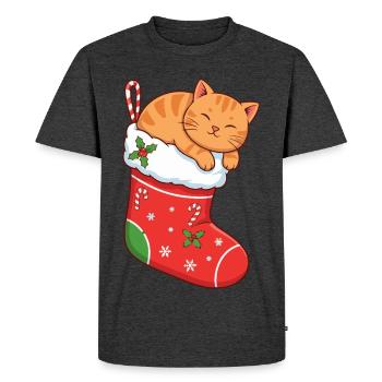 Chat câlin en bottes festives - T-shirt Premium bio Homme - anthracite chiné - Devant - Nico (187cm)