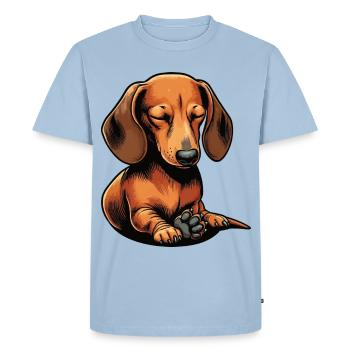 Dachshund, Dachshund Owner, Dachshund Lover, Dachshund - Men's Premium Organic T-Shirt - light blue - Front - Nico (187cm)