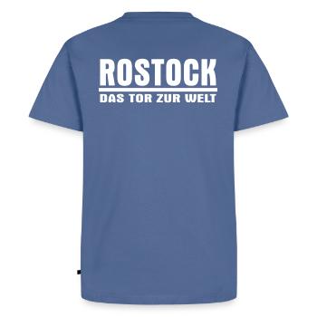 La passerelle vers le monde - T-shirt Premium bio Homme - bleu pigeon - Dos - Nico (187cm)