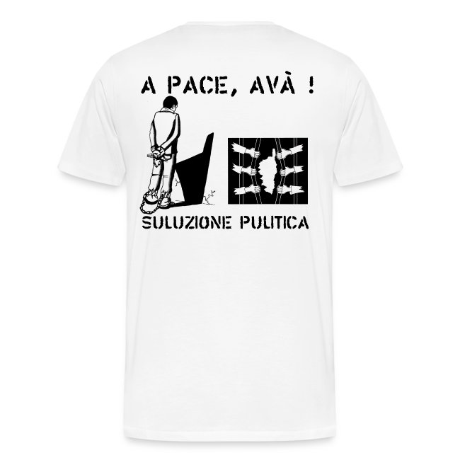 A PACE AVA 2