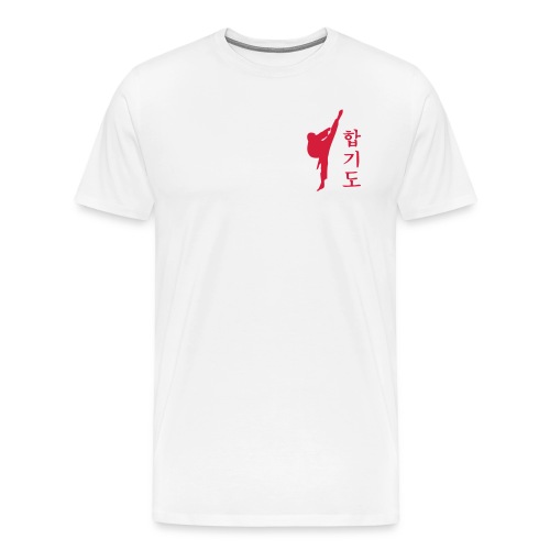 Hapkido Kick - Männer Premium T-Shirt