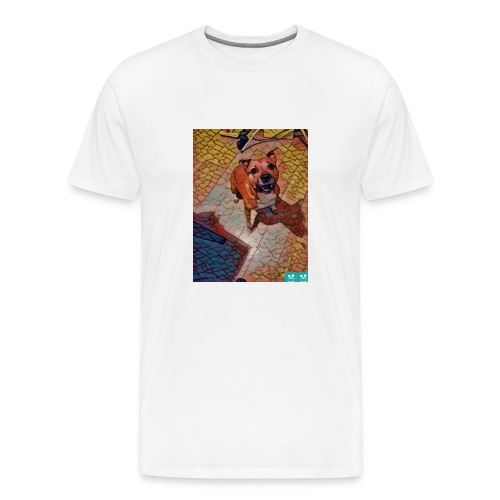 Foxy in kleur - Mannen Premium T-shirt