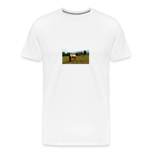 IMG_20150903_140848-jpg - Men's Premium T-Shirt