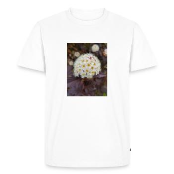 Blasenspiere à neuf écorces Physocarpus capitatus - T-shirt Premium bio Homme - blanc - Devant - Nico (187cm)