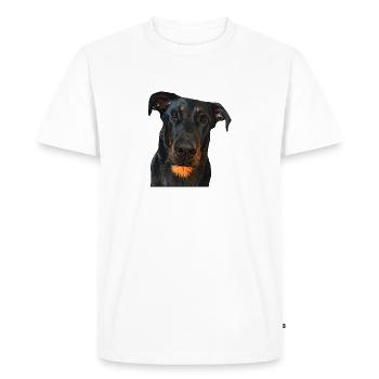 Regard du Beauceron - T-shirt Premium bio Homme - blanc - Devant - Nico (187cm)