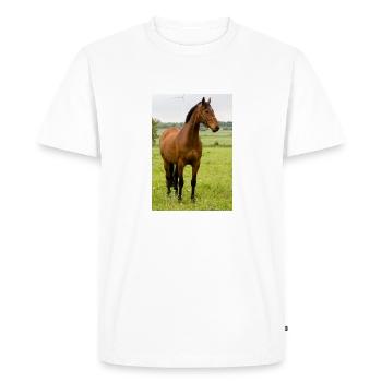 Cheval. Cheval. - T-shirt Premium bio Homme - blanc - Devant - Nico (187cm)