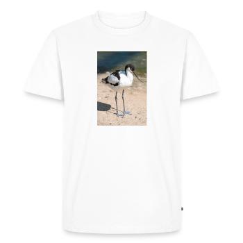 Avocette (Avocette, Recurvirostra avosetta) - T-shirt Premium bio Homme - blanc - Devant - Nico (187cm)