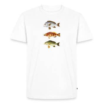Fish species illustration fish fish lover fish - Men's Premium Organic T-Shirt - white - Front - Nico (187cm)